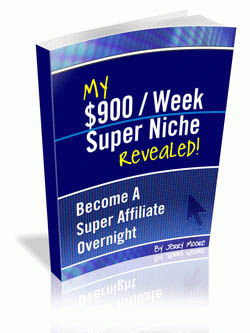 My $900/Week Super Niche Revealed