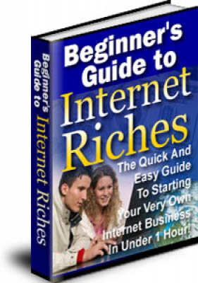 Beginner's Guide To Internet Riches