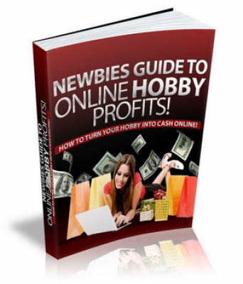 Newbies Guide To Online Hobby Profits!