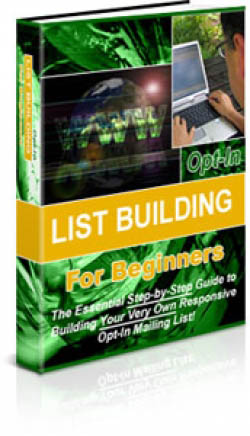 Opt-in List Building For Beginners