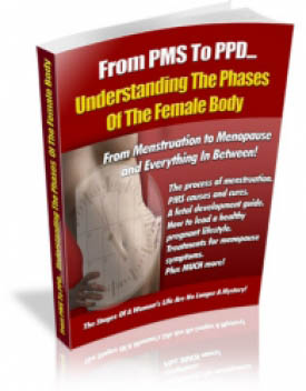 Understanding The Phases Of The Female Body