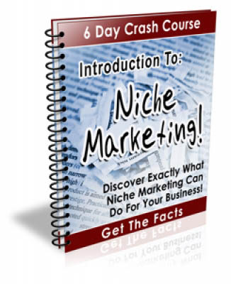 Introduction To: Niche Marketing!