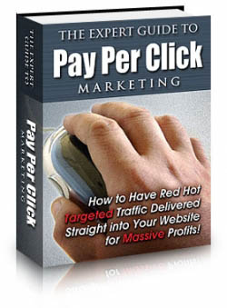 The Expert Guide To Pay Per Click Marketing