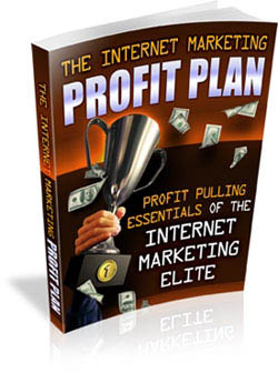 The Internet Marketing Profit Plan