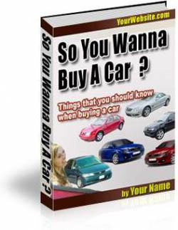 So You Wanna Buy A Car ?