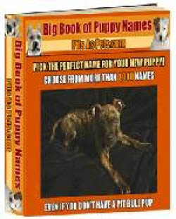 Big Book of Puppy Names