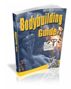 Bodybuilding Guide