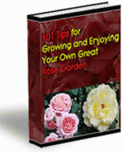 101 Tips For Growing Your Own Great Rose Garden