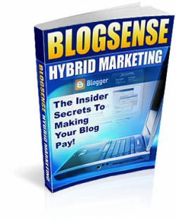 Blog Sense Hybrid Marketing